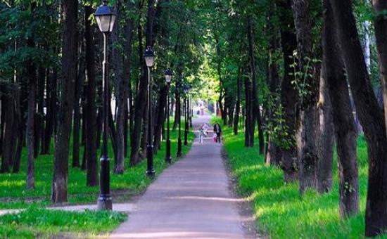 Petrovsky parkı