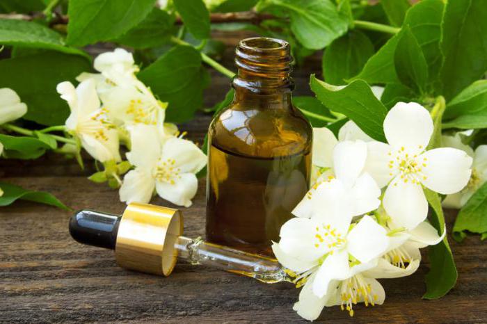 Jasmine essential oil testimonials