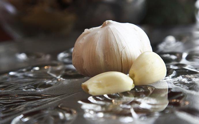 garlic for colds