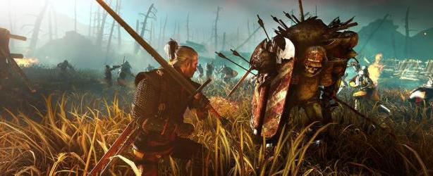 the witcher 2 passo a passo