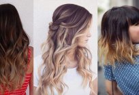 How to do the Ombre hair by yourself? The technique of painting