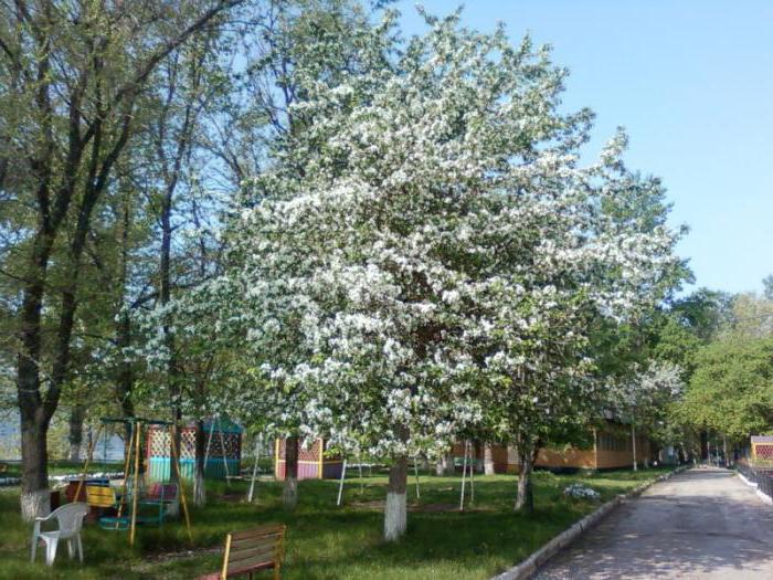 hostels of Samara
