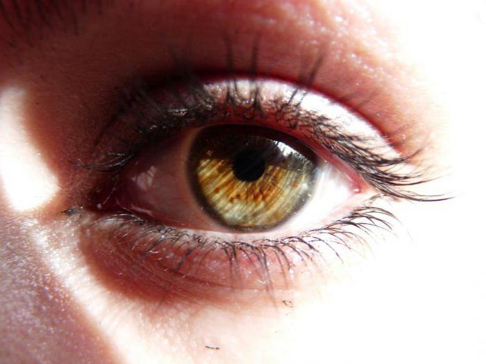 Gerste intern auf dem unteren Augenlid Behandlung