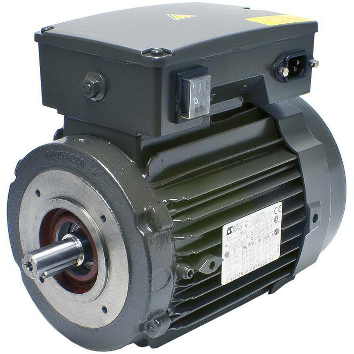 220V electric motor