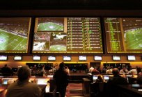 Types of bets on sports. The types of coefficients. How to bet on sports?