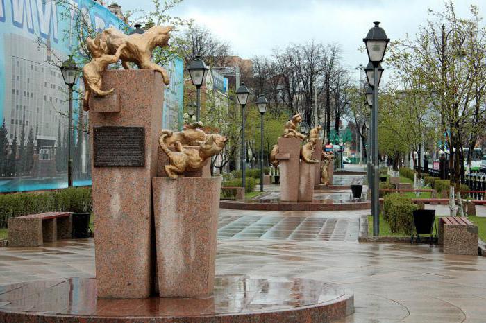 Siberian cats Square