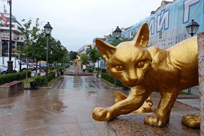 Siberian cats Square Tyumen