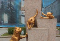 The Siberian cats square - tailed cozy monument to the heroes