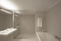 Cuarto de baño: diseño, características, especificaciones y los clientes