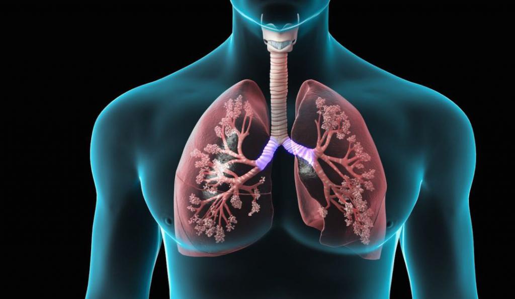 a função pulmonar