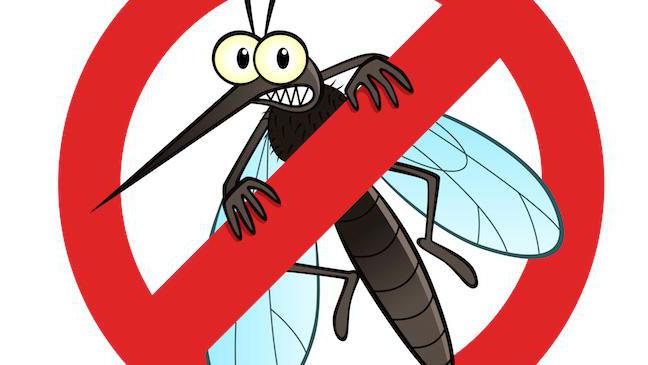 Cypermethrin Gebrauchsanweisungen von Mücken