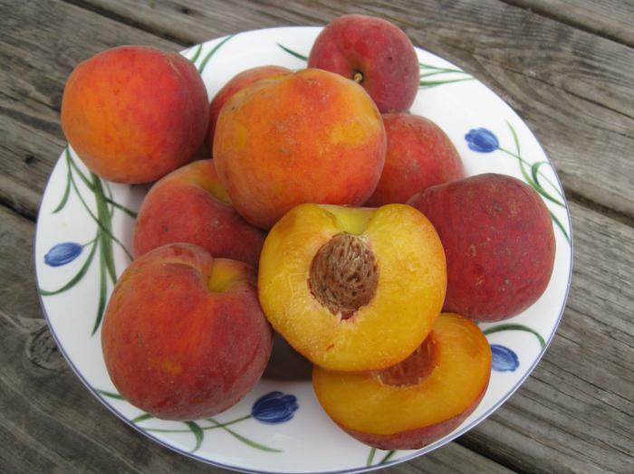 Peach in the middle zone of Russia