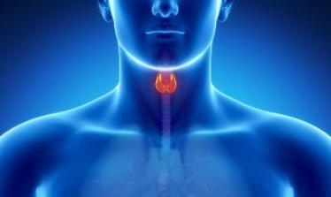 Antibodies to thyroid peroxidase are elevated what does that mean