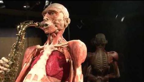 los Misterios del cuerpo humano de la exposición de minsk