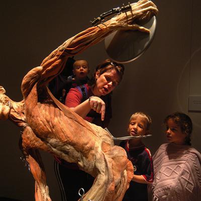 la Exposición de los cuerpos humanos, en minsk, el de la foto