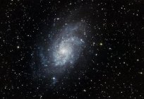 The constellation of the Triangle and the spiral galaxy M33