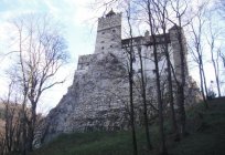 Donde se encuentra la capital de transilvania es la cuna del conde drácula? Donde se encuentra el castillo de drácula en transilvania?