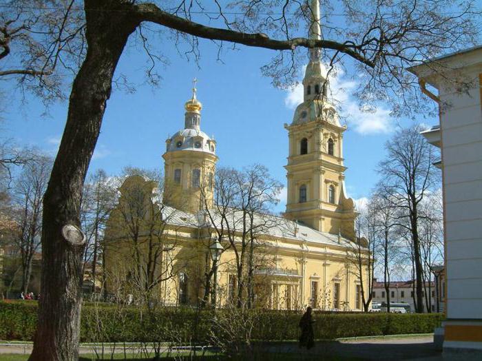 katedraller ve tapınaklar St Petersburg