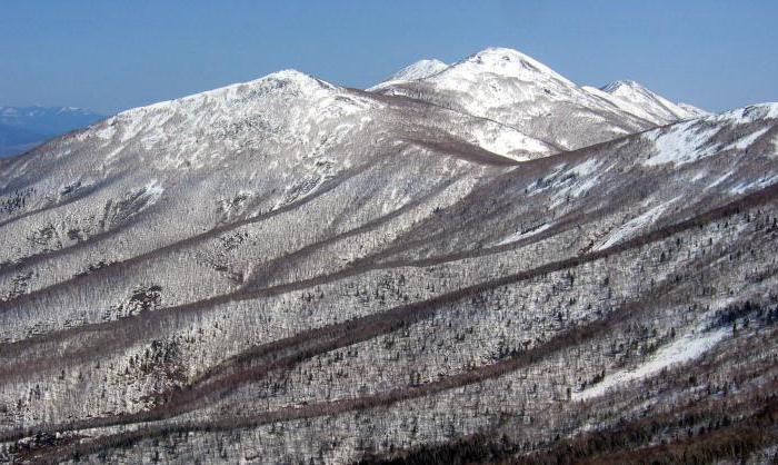 什么山中