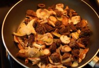 Grzyb kurduplu: rodzaje i jedzenie
