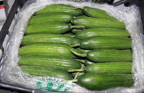  how to keep cucumbers fresh