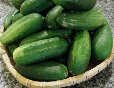 how long to keep cucumbers in the refrigerator