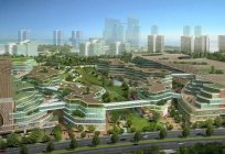 China: la ecología de las ciudades