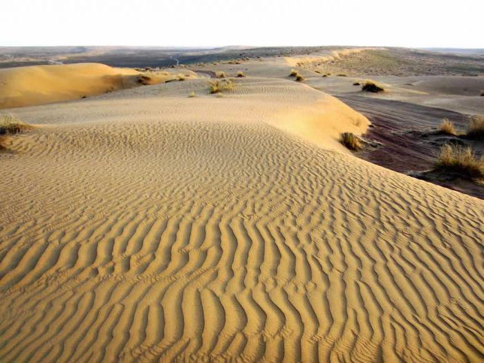的泥沙漠中的图兰低地地都有人居住的