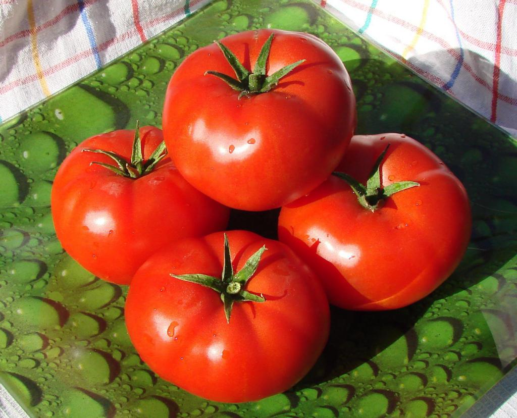 los Tomates de siberia "alaska"