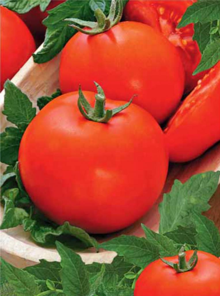 la Variedad de tomate "siberiano скороспелый"