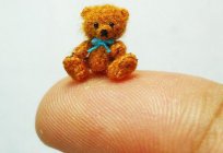 Gestrickter Teddybär Speichen: Schema und Beschreibung. Spielzeug-Speichen-Design
