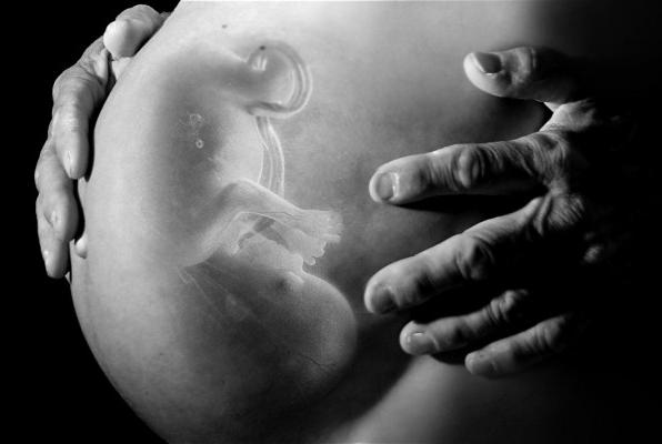 縦位置し、胎児の写真