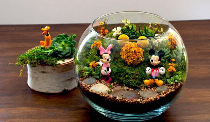 what is a terrarium for flowers in the definition of