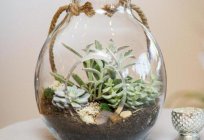 What is a terrarium for flowers?