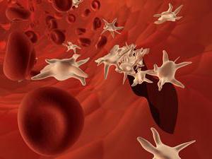 coagulation and anticoagulation system of blood