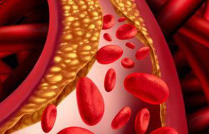 anticoagulative system of blood physiology