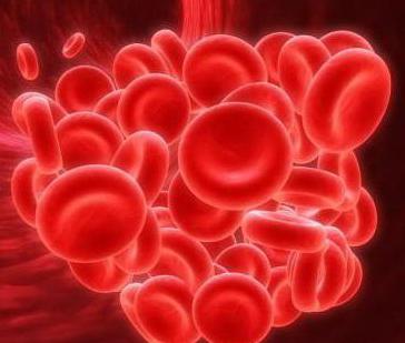 fibrinolytic and anticoagulative systems of blood
