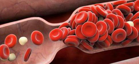 свертывающая противосвертывающая e фибринолитическая o sistema de sangue