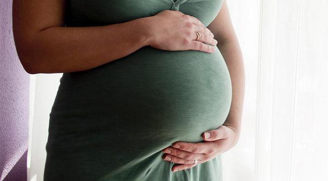 المناسل في النساء و الحمل