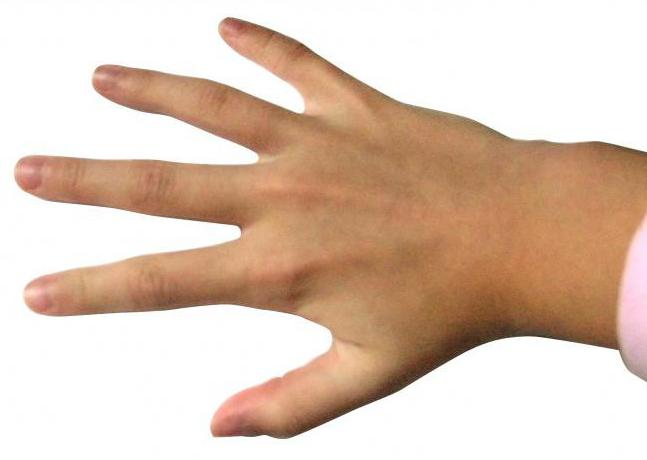 Name of fingers of the human hand
