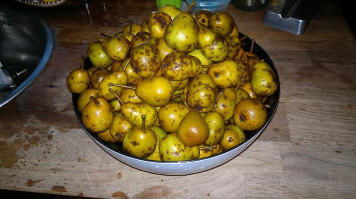 pear wildings recipes