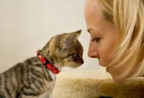 Чому кошеня нявчить постійно: можливі причини