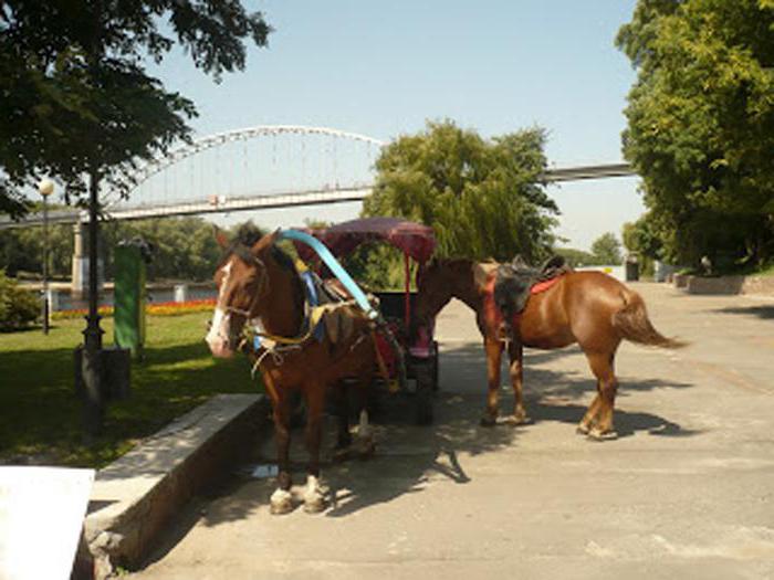 Park of Lunacharsky in Gomel rides