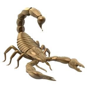 Znak zodiaku Skorpion