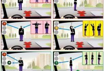 Las reglas de controlador de tránsito: la pdd