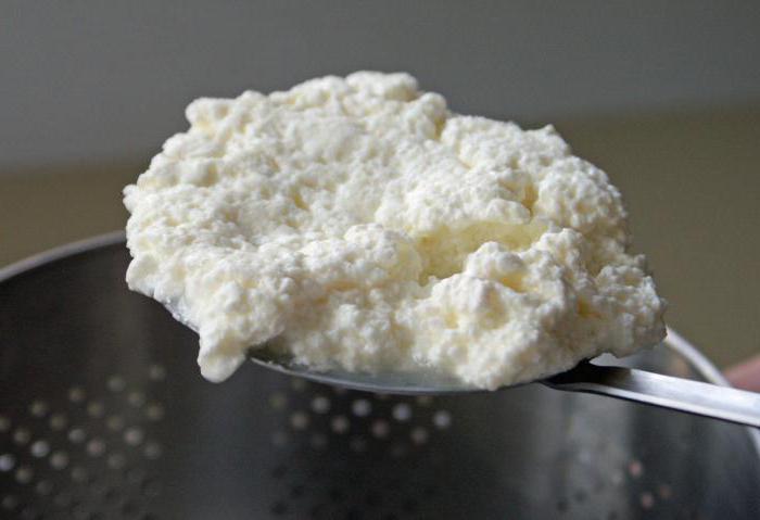 ricotta cheese what to eat recipes