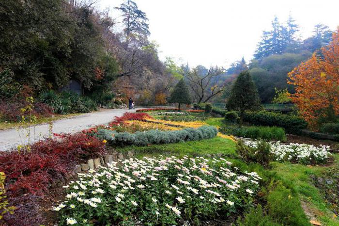 o jardim botânico, em tbilisi foto