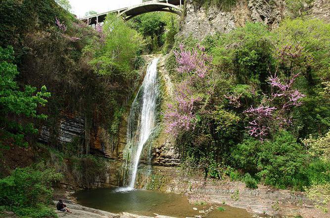wo befindet sich der botanische Garten in Tiflis