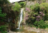 Ботаникалық бақ-Тбилиси: фото, мекен-жайы, жұмыс режимі, қалай жетуге болады