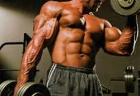 Steroid ist Muskelaufbau... 